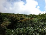 DSCN0042_thumb.jpg
