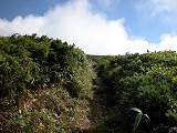DSCN0045_thumb.jpg