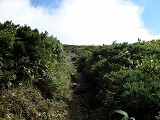 DSCN0046_thumb.jpg
