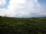 DSCN0048_thumb.jpg
