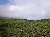 DSCN0049_thumb.jpg