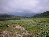 DSCN0060_thumb.jpg