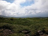 DSCN0061_thumb.jpg
