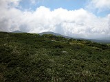 DSCN0062_thumb.jpg