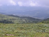 DSCN0063_thumb.jpg