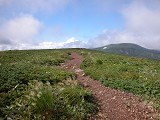 DSCN0067_thumb.jpg