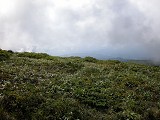 DSCN0070_thumb.jpg