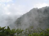 DSC00061_thumb.jpg