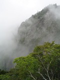 DSC00075_thumb.jpg