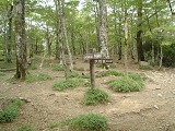 DSC00078_thumb.jpg