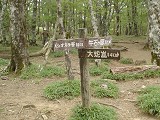 DSC00079_thumb.jpg