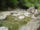 DSC00081_thumb.jpg