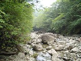DSC00082_thumb.jpg